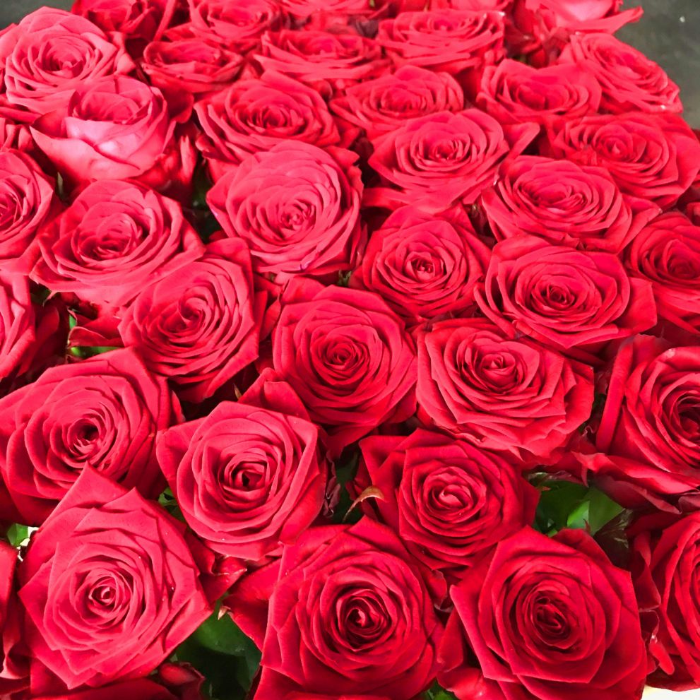 Rose rosse Red Naomi a gambo lungo