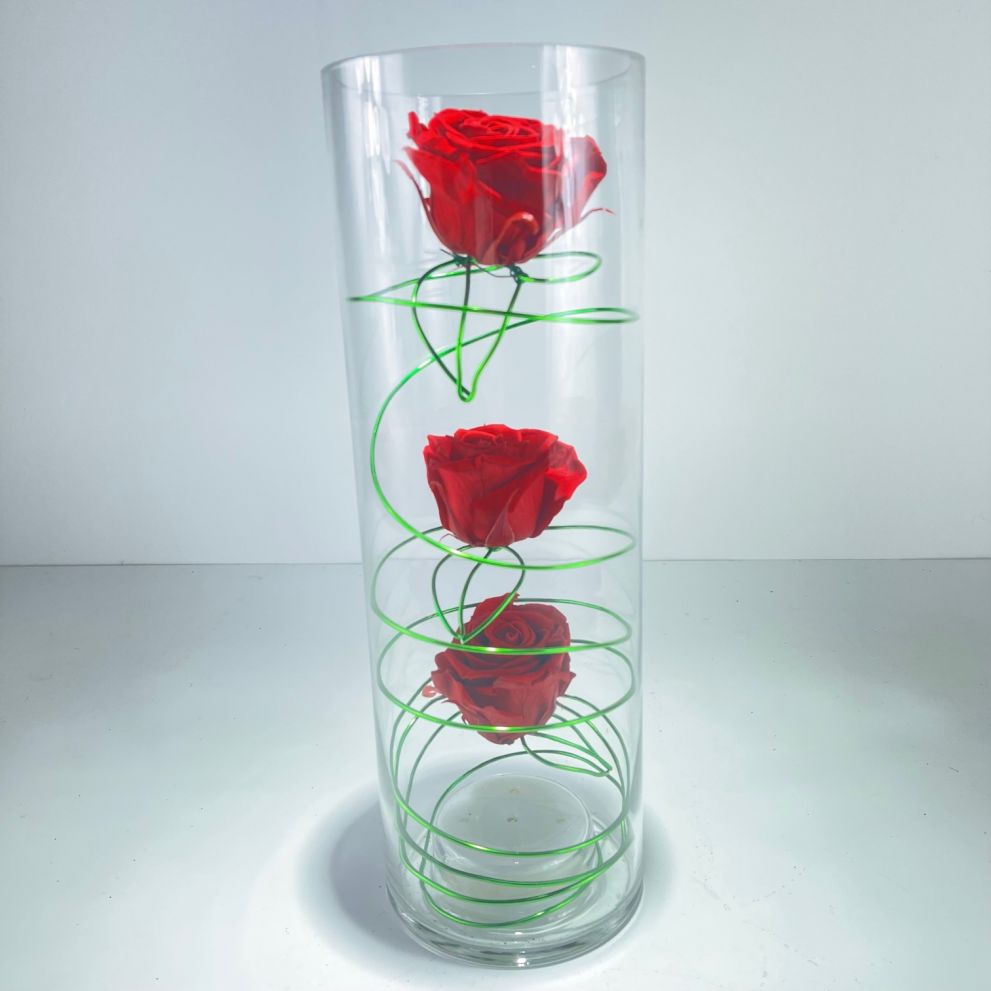 Vaso con luce e rose stabilizzate