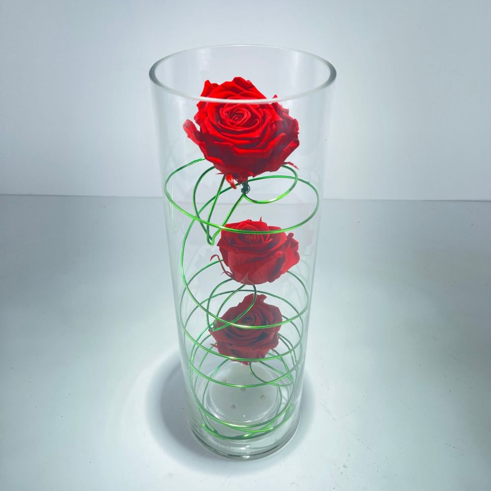 Vaso con luce e rose stabilizzate