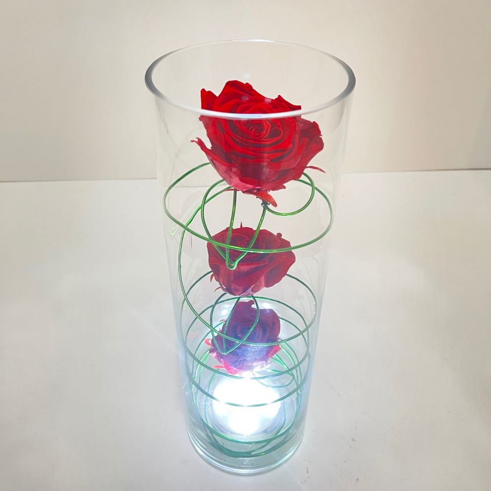 Vaso con luce e rose stabilizzate