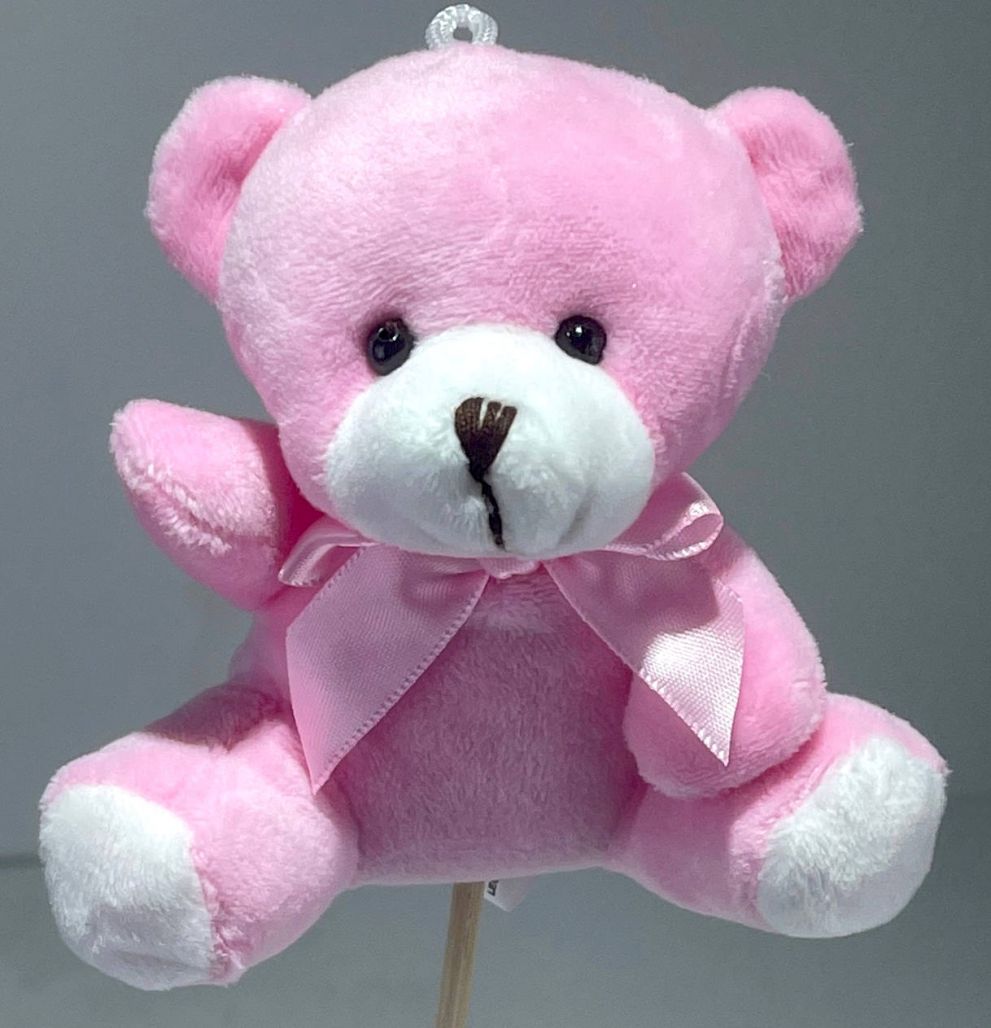 Pink Teddy Bear pick