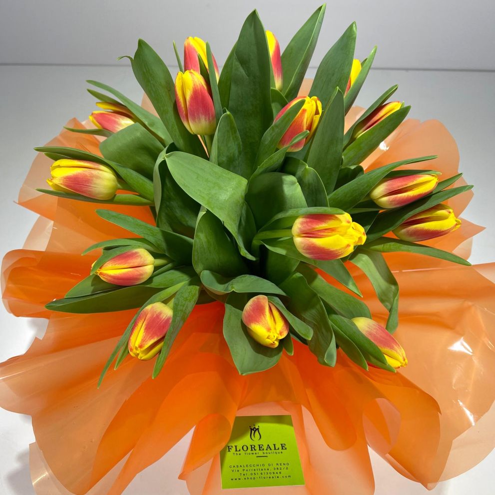 Bouquet di tulipani